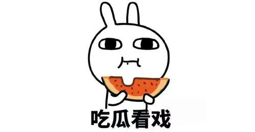 娱乐吃瓜君吐槽二豆,二豆事件真相揭秘